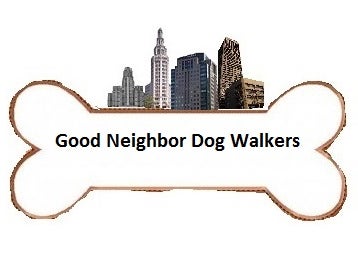 Zubaz Bills Cycle Dog Leash  Good Neighbor Dog Walkers LLC